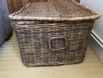 Male in wicker, two handles. 
41 x 66 x 52...