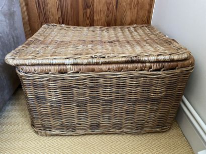 Male in wicker, two handles. 
41 x 66 x 52...