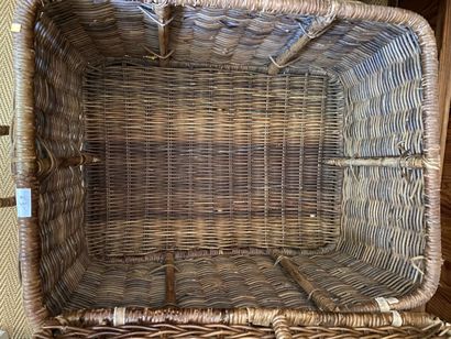Male in wicker, two handles. 
41 x 66 x 52...