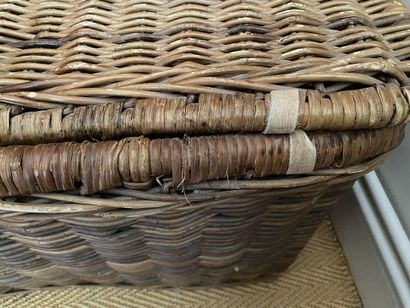 Male in wicker, two handles. 
41 x 66 x 52...