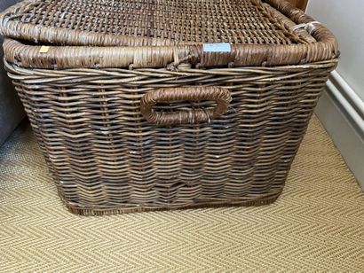 Male in wicker, two handles. 
41 x 66 x 52...