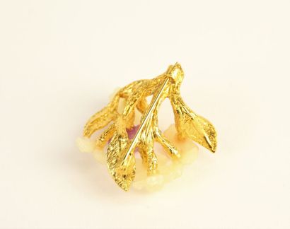 Schiaparelli - 