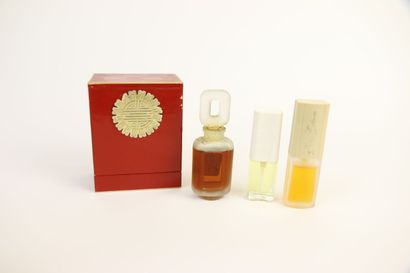 Estée Lauder 