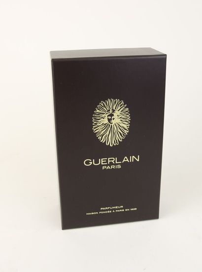Guerlain - (années 2020)
Présentant dans...