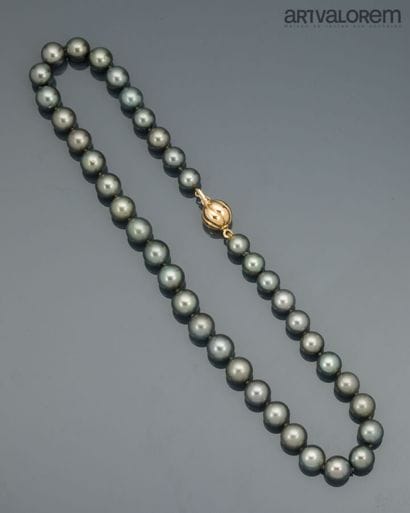 Necklace of gray South Sea cultured pearls,...