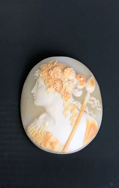 Shell cameo engraved with the bust of Bacchus...