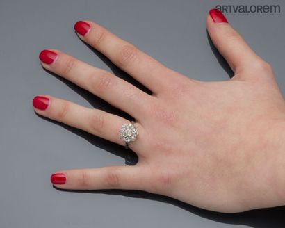 Daisy-shaped ring in 750°/°° white gold and...