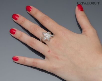 Ring in 750°/°° white gold in the form of...