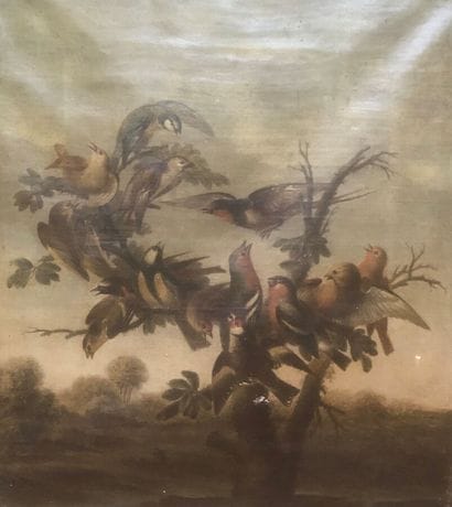 19th century SCHOOL.
Birds on a tree,
Oil...