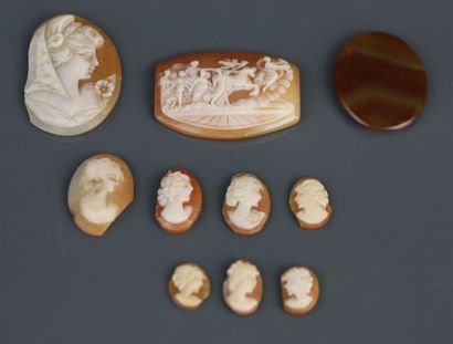 Nine shell cameos of various diameters, one...