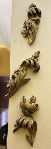 Set comprising elements in gilded or natural...