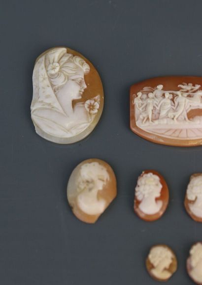 Nine shell cameos of various diameters, one...