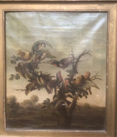 19th century SCHOOL.
Birds on a tree,
Oil...