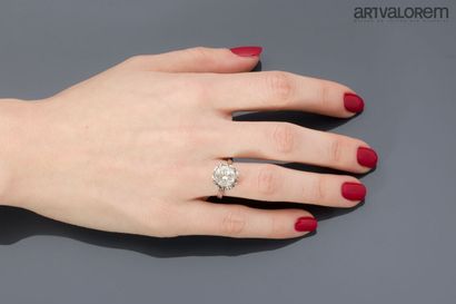 Solitaire in 750°/°° white gold set with...