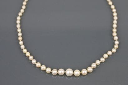 Necklace composed of 111 pearls in fall including:...