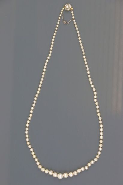Necklace composed of 111 pearls in fall including:...