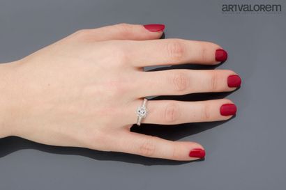 Ring in 585°/°° white gold, centered on an...