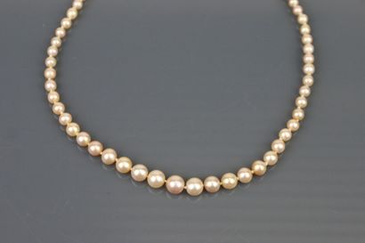 Necklace with 
- 62 natural drop pearls 3.3...