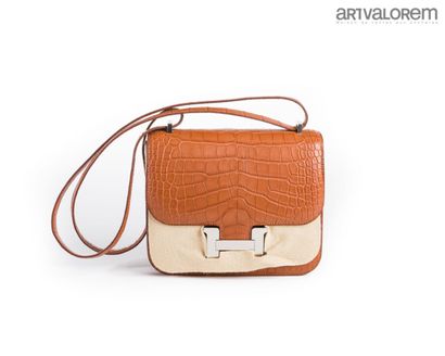 HERMÈS Paris
Mini Constance bag (18cm) in...