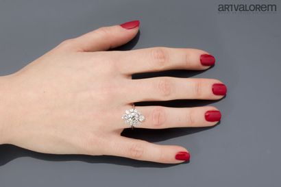 Daisy ring in 750°/°° white gold and platinum,...