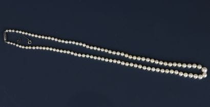 Necklace made of cultured pearls, silver-plated...
