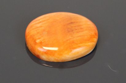 Orange shell.
Dim: 29 x 25 mm