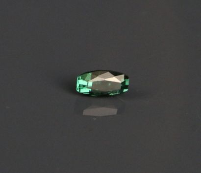 Verdelite (tourmaline verte) de taille mixte.
Poids:...
