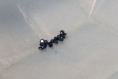 Two troïdia-cut sapphires.
Weight: 0.27 ct...