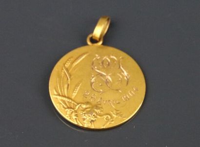 Yellow gold 750°/°° chain with força links,...