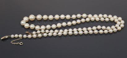 Necklace of cultured pearls. Ratchet clasp...