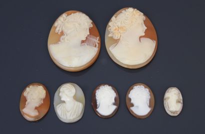 Seven shell cameos with engraved female profiles.
Dim:...