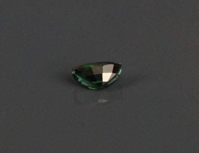 Verdelite (tourmaline verte) de taille mixte.
Poids:...
