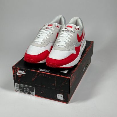 NIKE 
A pair of low-top sneakers,
Model :...
