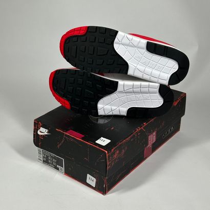 NIKE 
A pair of low-top sneakers,
Model :...