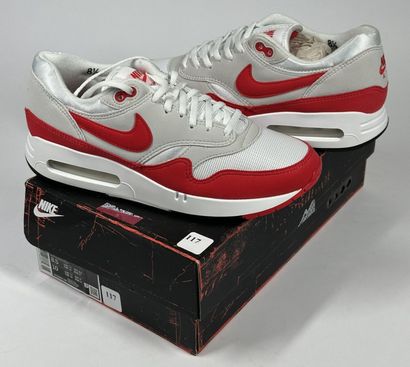NIKE 
A pair of low-top sneakers,
Model :...