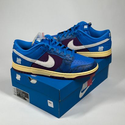 NIKE SB X UNDEFEATED 
Une paire de basket...