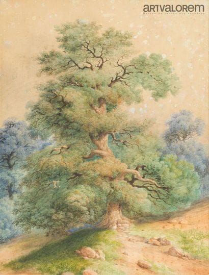 ÉCOLE FRANÇAISE DU XIXe SIECLE
Arbre
Aquarelle...