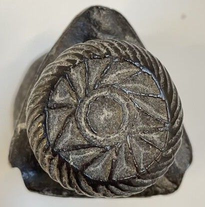BERBER (Morocco)
Wooden stamp with superb...