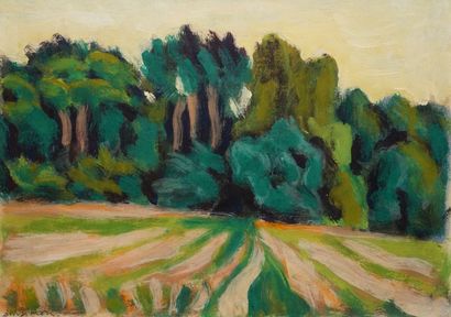 Jean-Pierre BENSIMON (20th). 
Fields and...