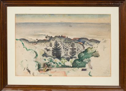Étienne BOUCHAUD (1898-1989).
View of a palm...