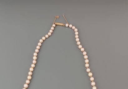 Fallen cultured pearl necklace, clasp and...