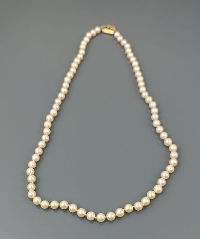 Collier de perles de culture choker, fermoir...