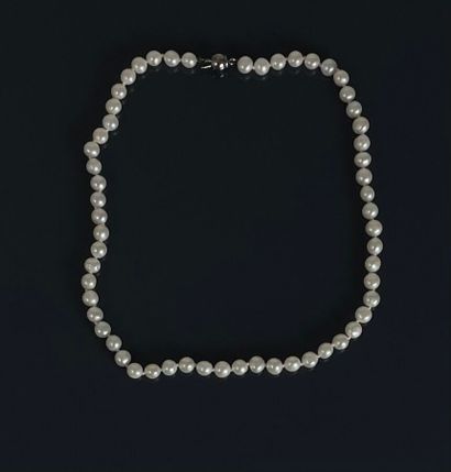 Lot comprenant un collier de perles d'eau...