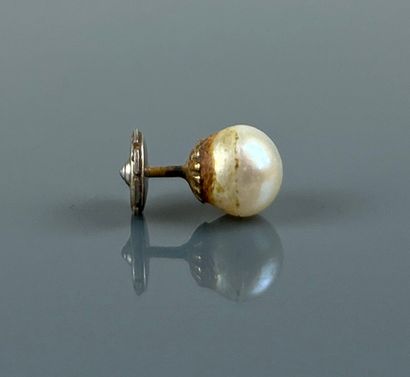 One cultured pearl earring, platinum clasp.
Gross...