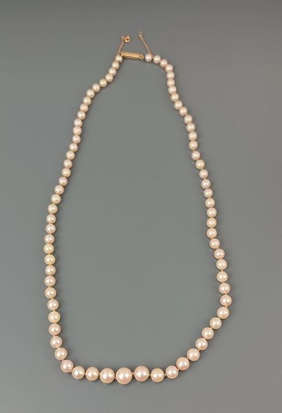 Fallen cultured pearl necklace, clasp and...