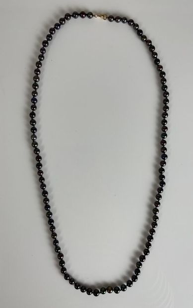 Collier de perles de Tahiti
Diam : 56 mm
Longueur...