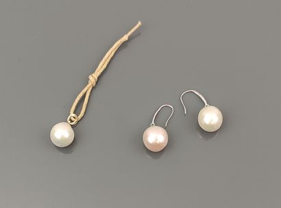 Paire de pendants d'oreilles en or gris 750°/°°...