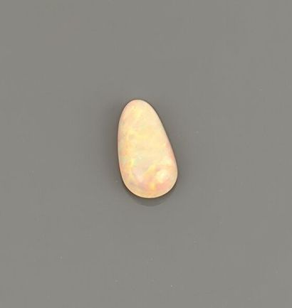 Opale d'Éthiopie taille cabochon
Poids :...