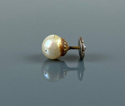 One cultured pearl earring, platinum clasp.
Gross...