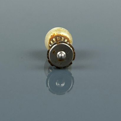 One cultured pearl earring, platinum clasp.
Gross...